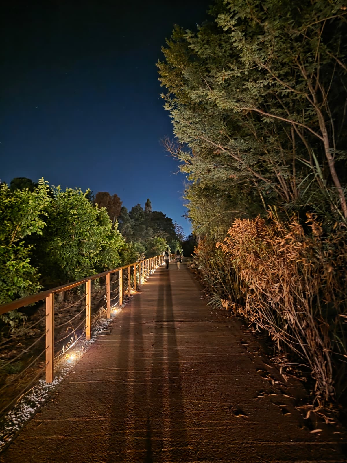 Illuminated approach path
